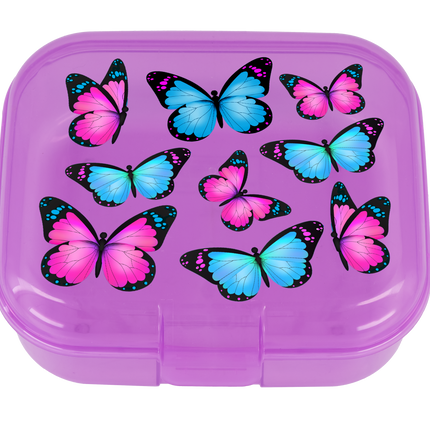 DECORATED MUNCH CUBE 1.1lt BUTTERFLIES/SOCCER